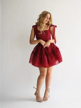 NWT Wild Rose & Willow the Sienna Gown